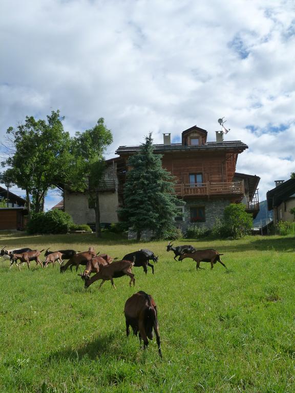 Agriturismo Barba Gust Cesana Torinese Exterior photo