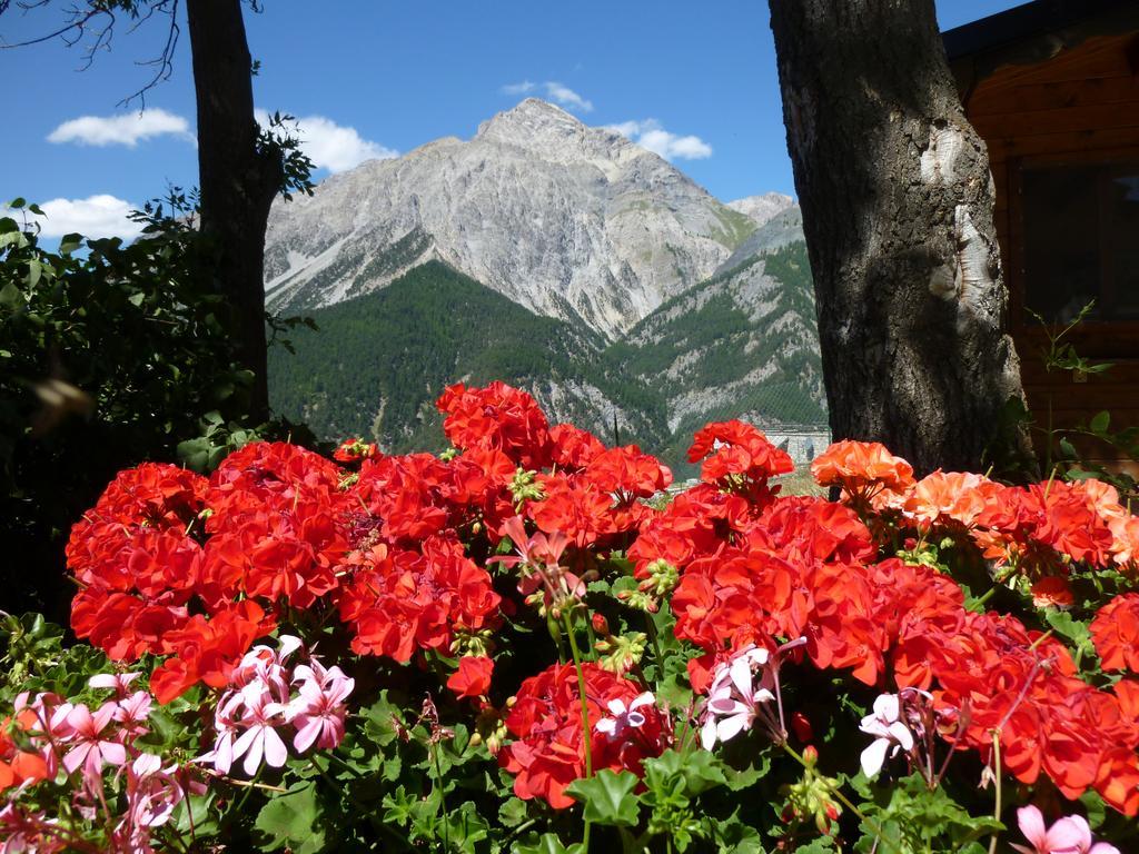 Agriturismo Barba Gust Cesana Torinese Exterior photo
