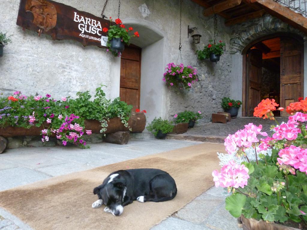 Agriturismo Barba Gust Cesana Torinese Exterior photo