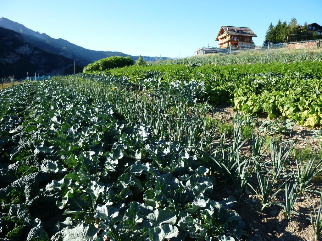 Agriturismo Barba Gust Cesana Torinese Exterior photo