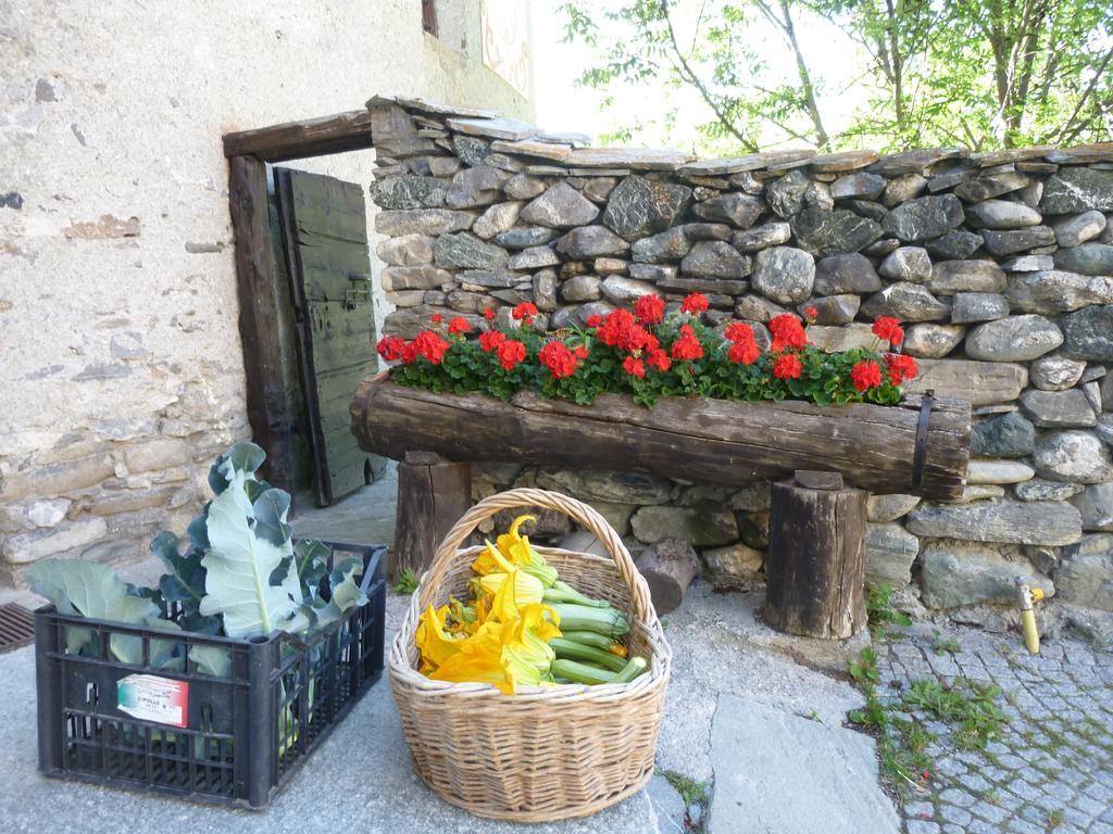 Agriturismo Barba Gust Cesana Torinese Exterior photo